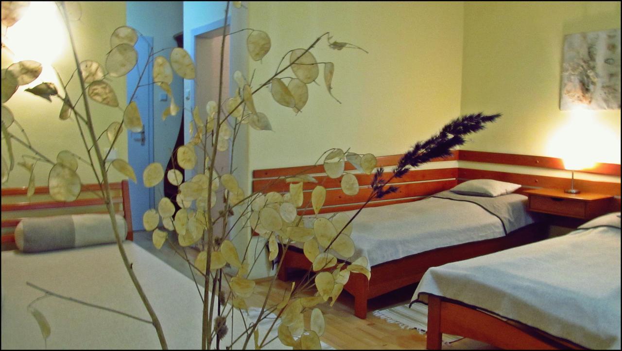 The Zen Hostel - Posticum Oradea Zewnętrze zdjęcie